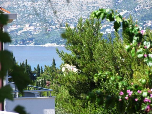 Villa Kipre 2 Cavtat Esterno foto